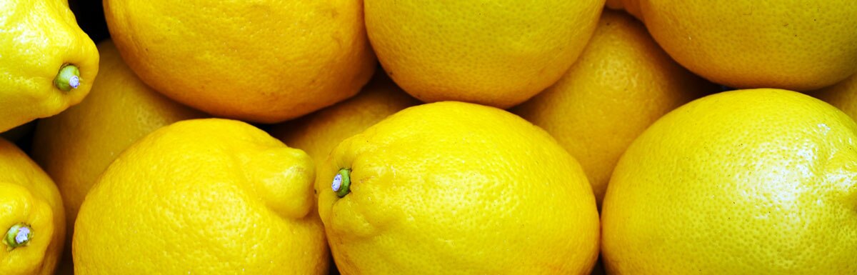Holiday Fun: Lemon Project