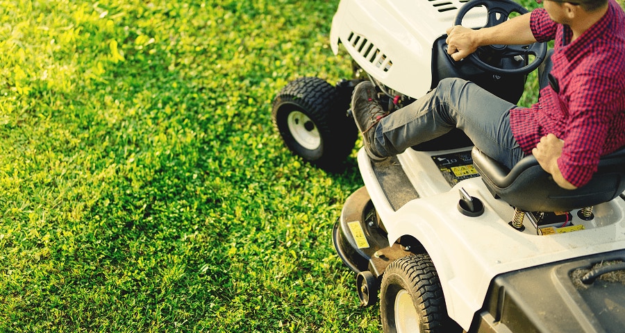 lawn