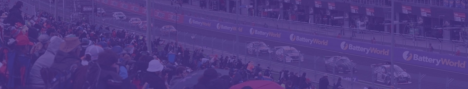 Ambassadors & Partnerships