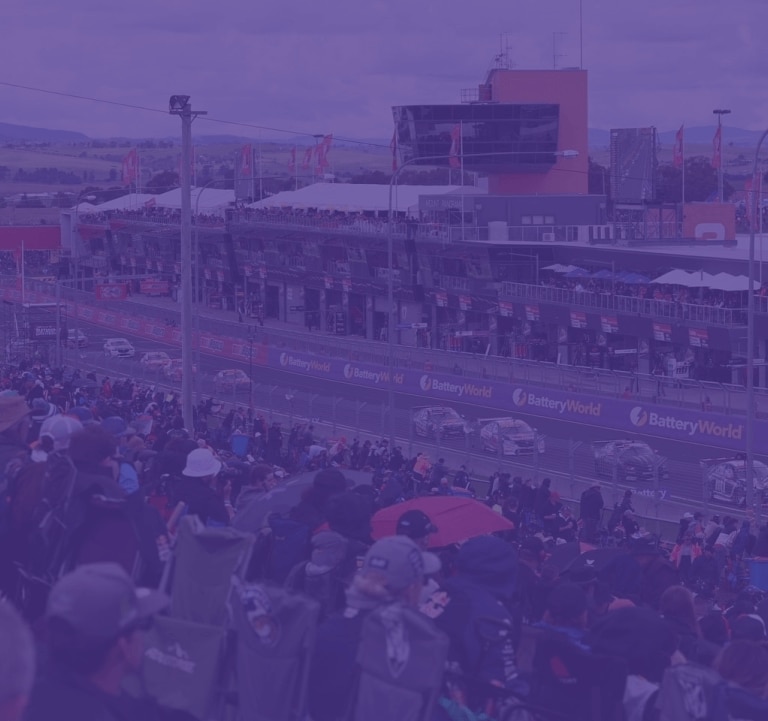 Ambassadors & Partnerships