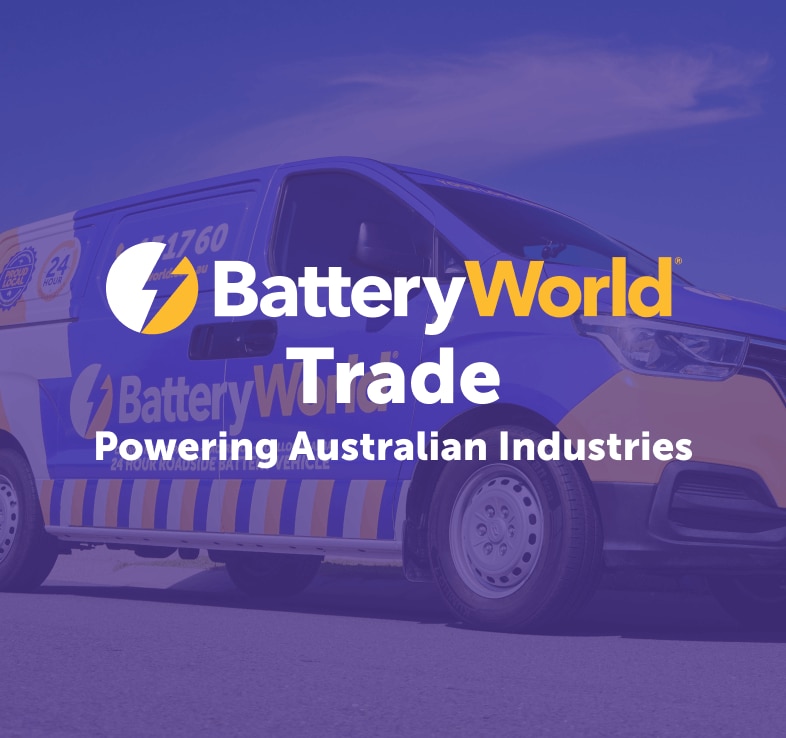 Battery World Trade